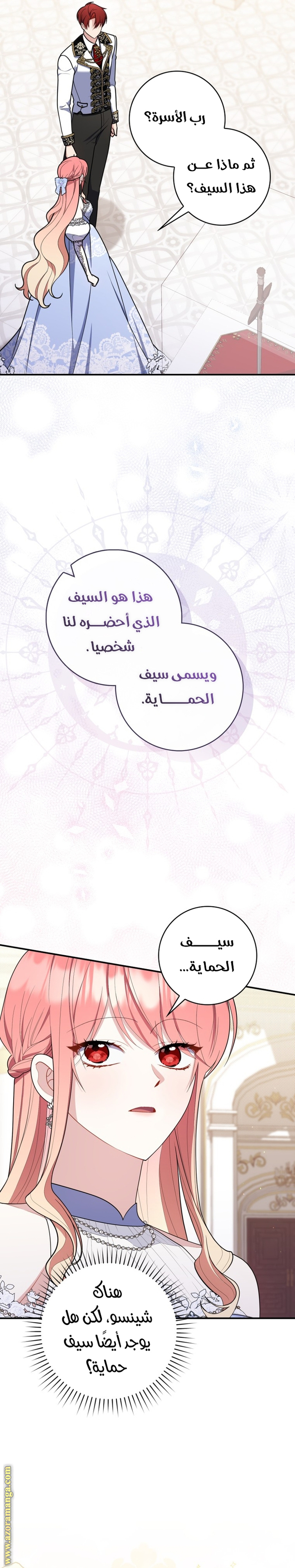 الصفحة 17