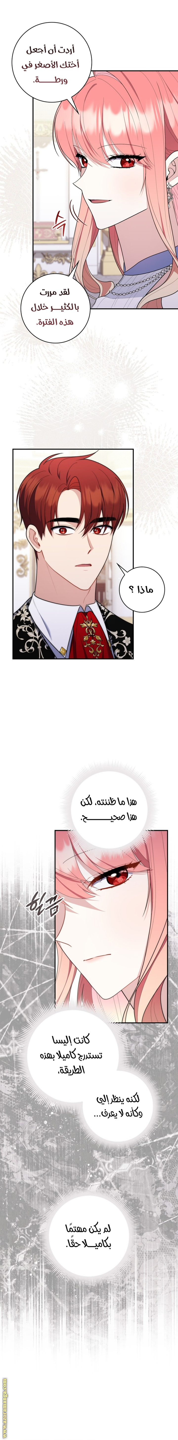 الصفحة 20