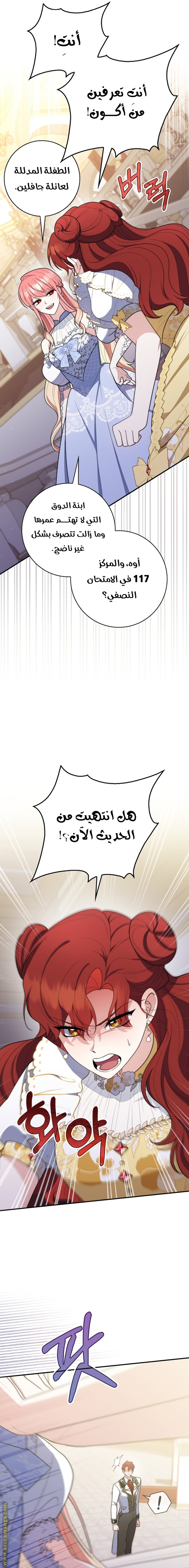 الصفحة 25