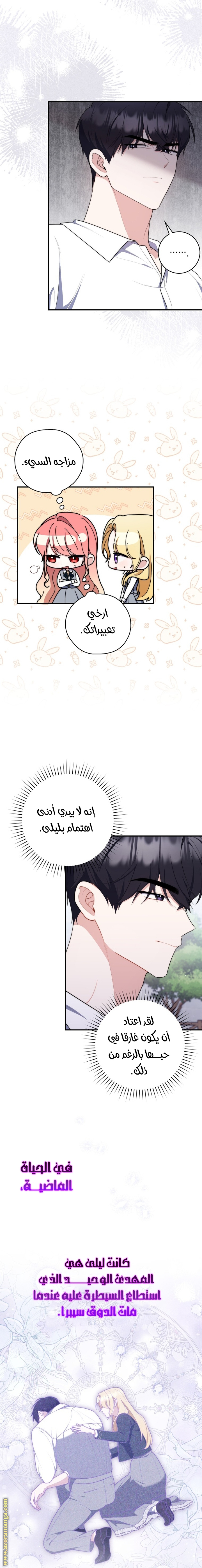 الصفحة 13