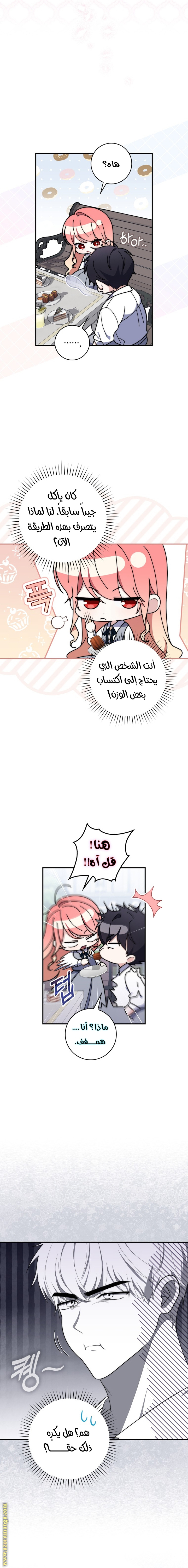 الصفحة 17