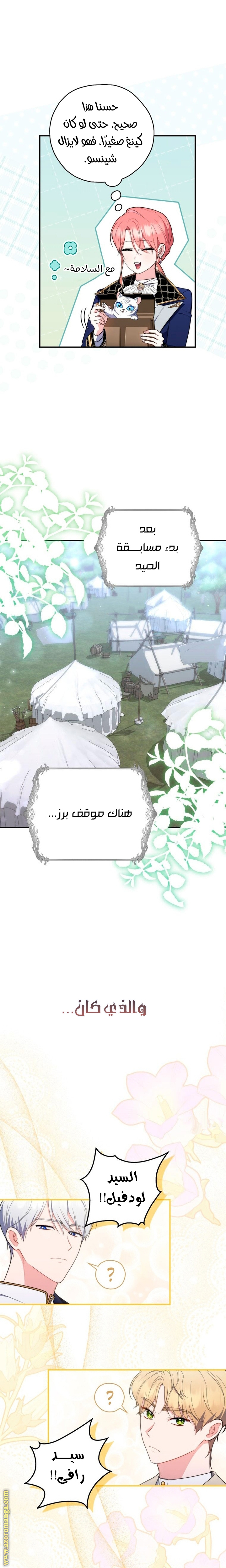 الصفحة 13