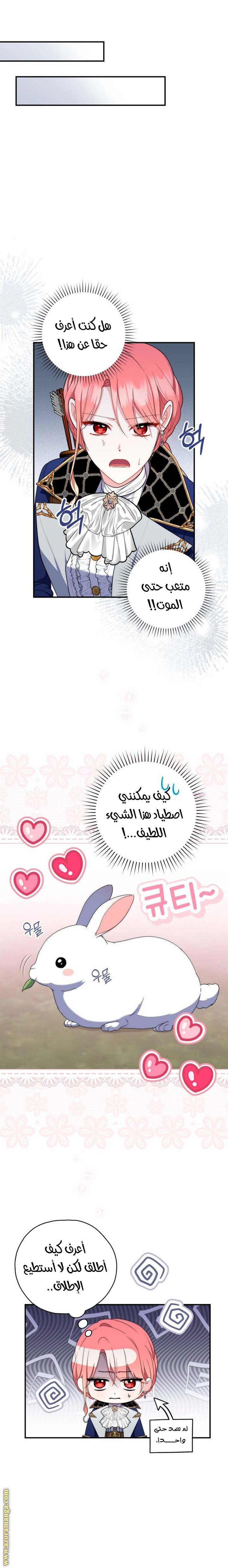 الصفحة 19