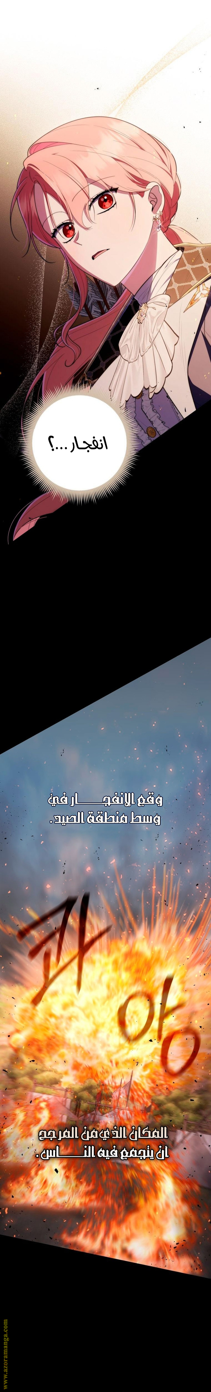 الصفحة 25