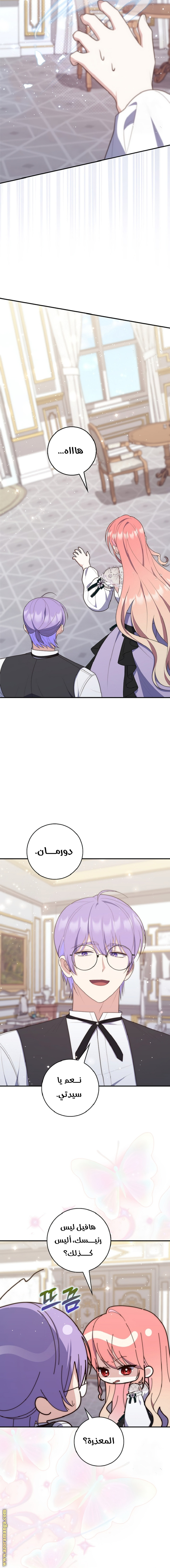الصفحة 20