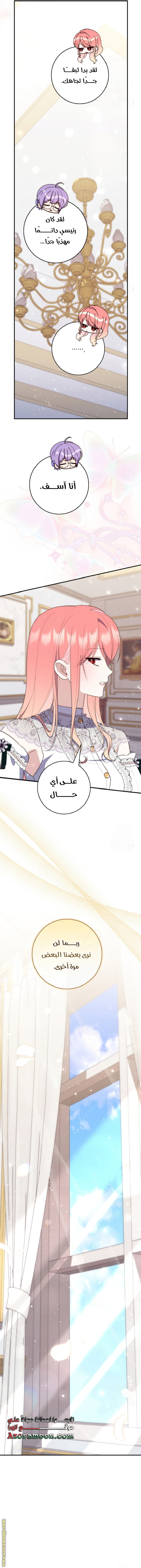 الصفحة 21