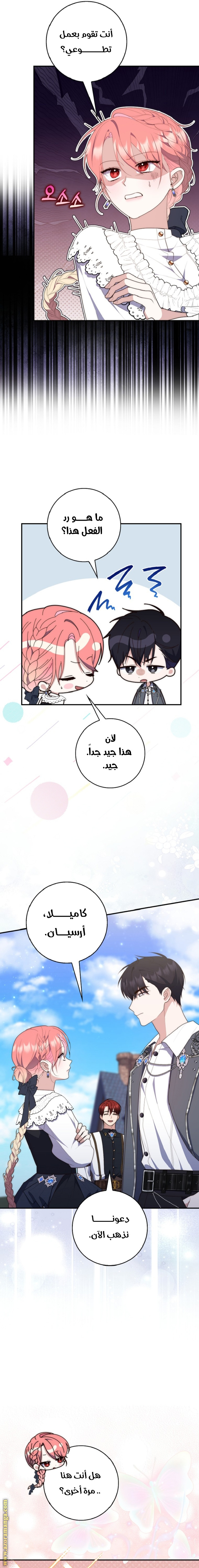 الصفحة 13