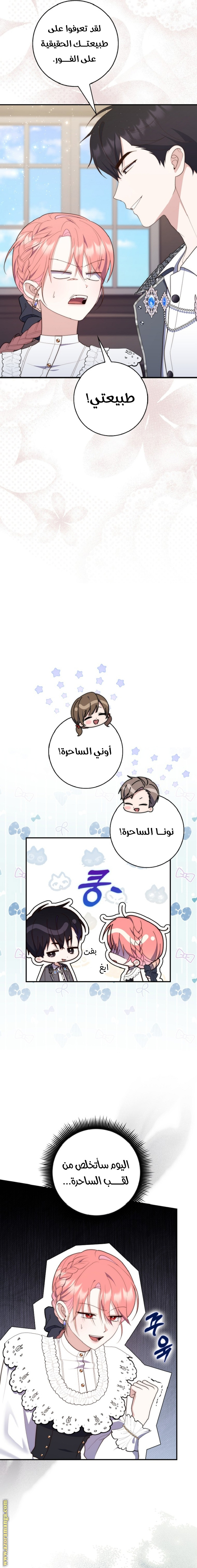 الصفحة 17