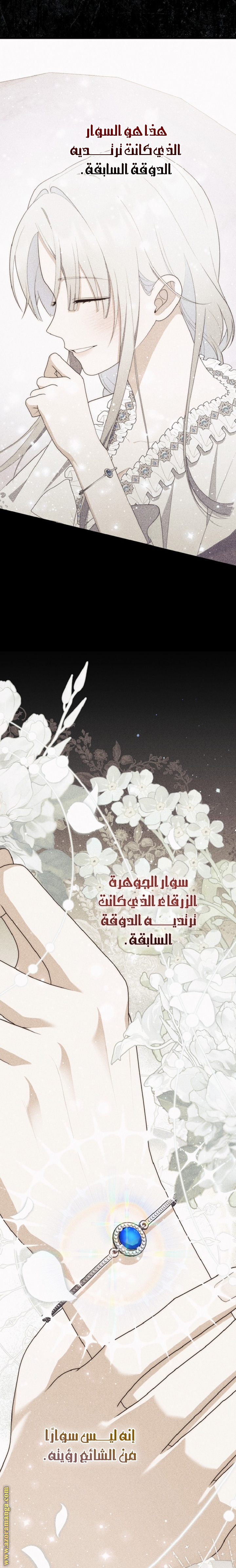 الصفحة 21