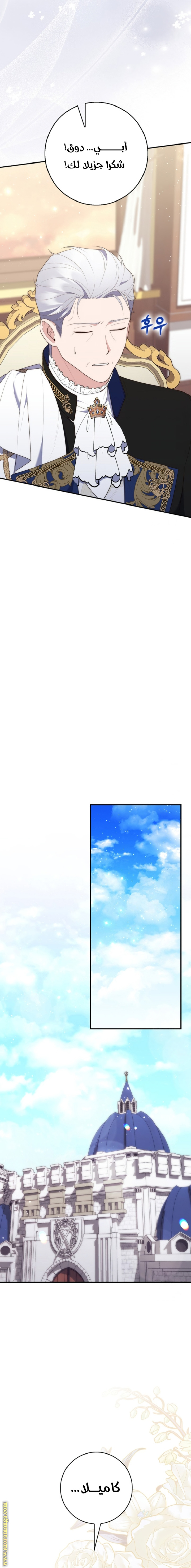 الصفحة 24