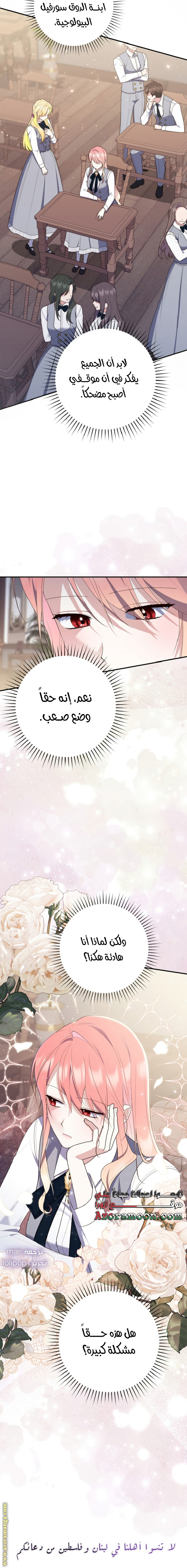 الصفحة 27