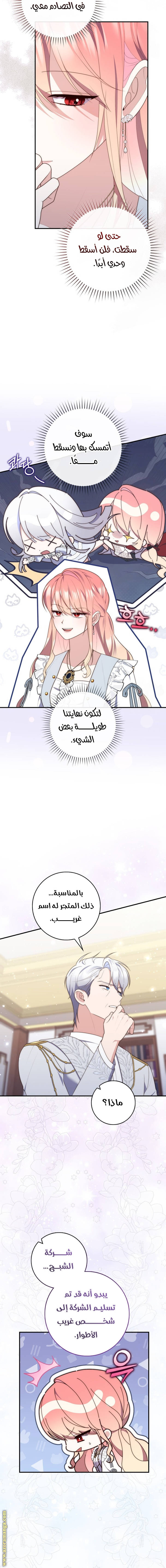 الصفحة 12