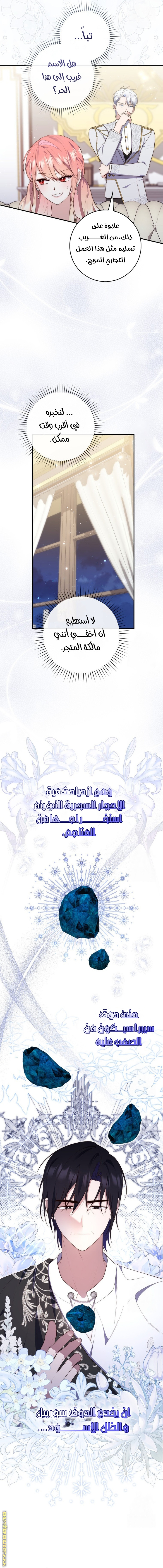 الصفحة 13