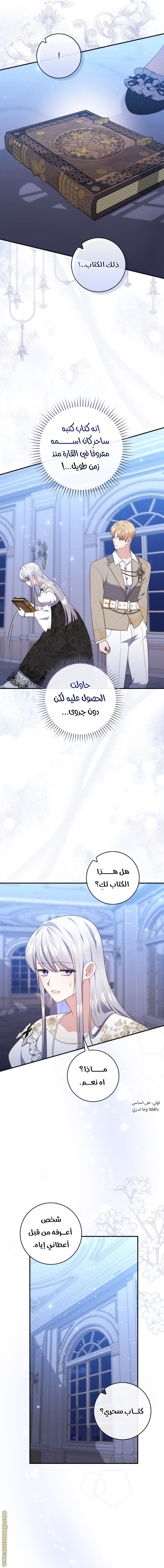 الصفحة 17