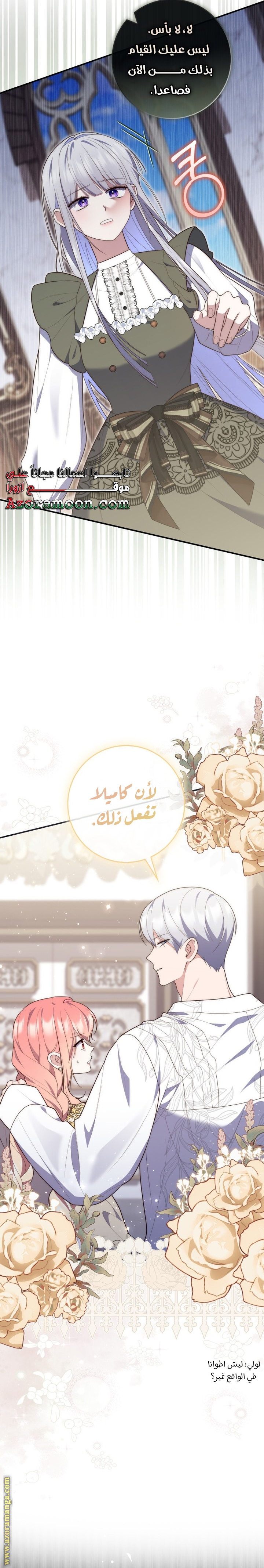 الصفحة 17