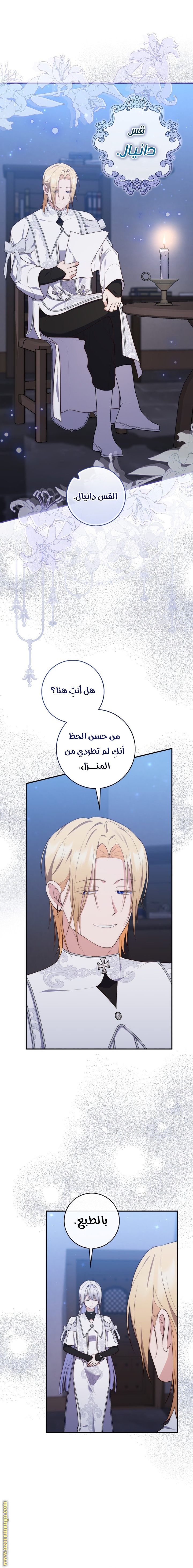 الصفحة 21