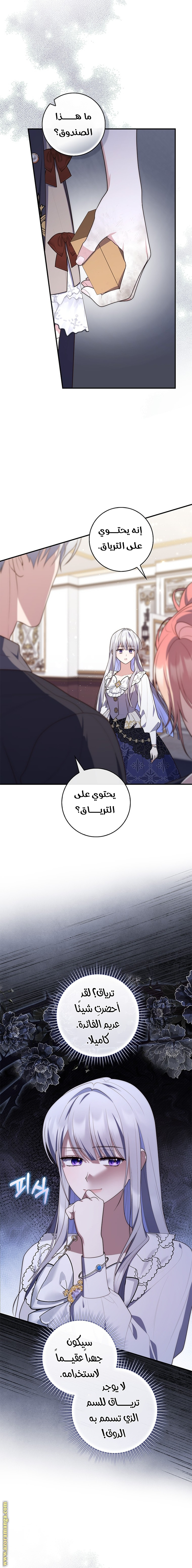 الصفحة 8