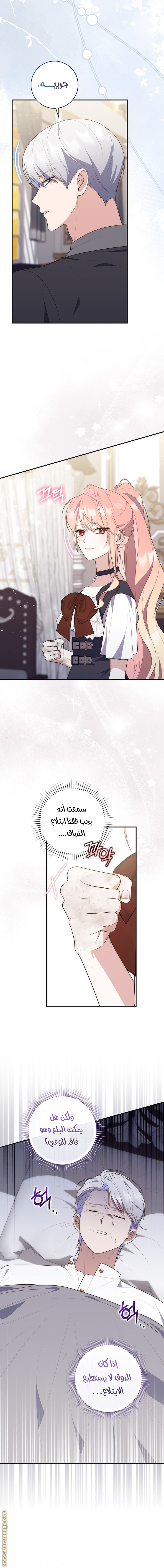 الصفحة 13