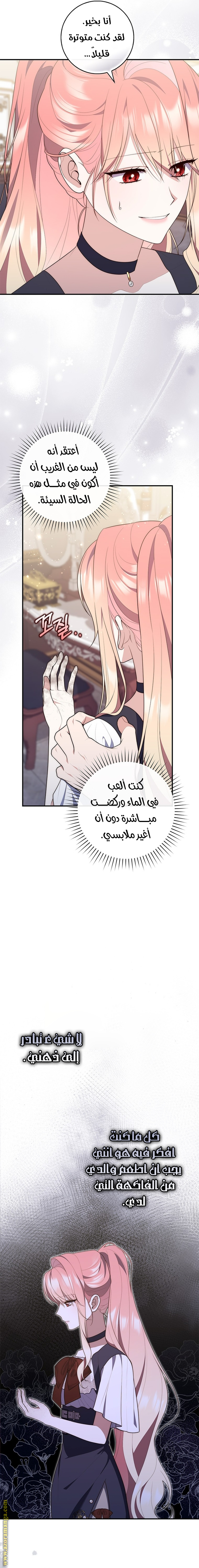 الصفحة 17