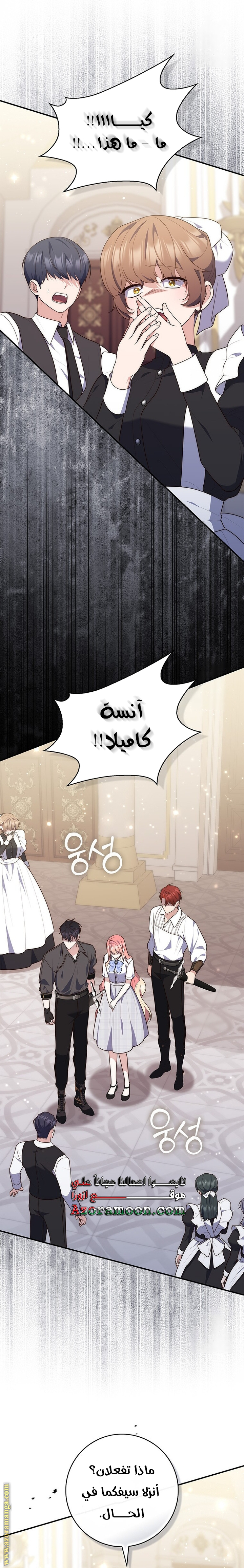 الصفحة 20