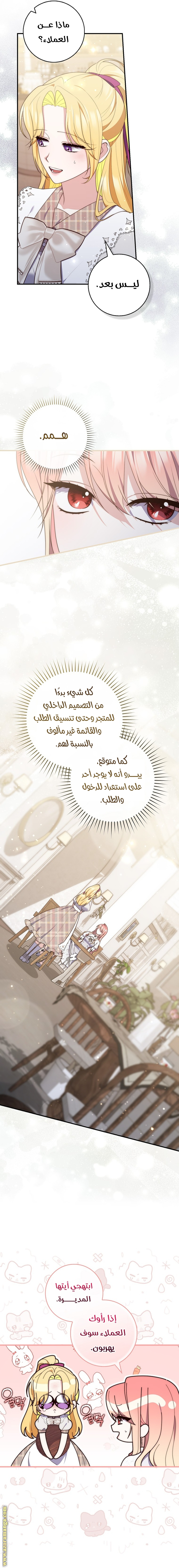الصفحة 17