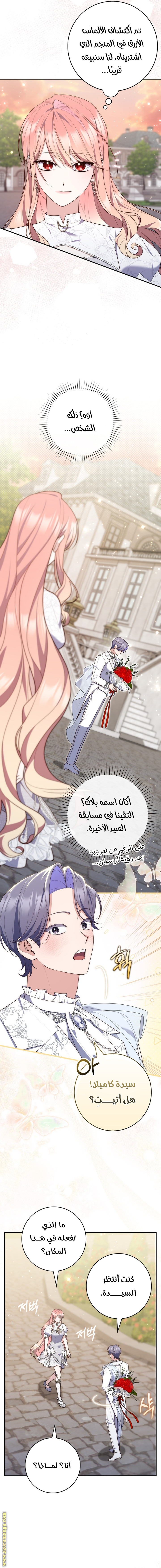 الصفحة 12