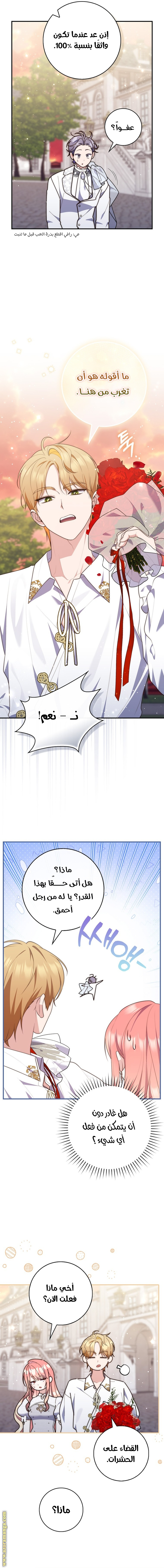 الصفحة 16