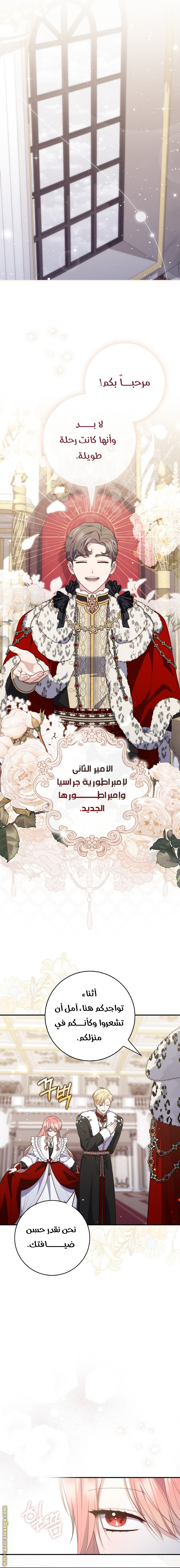 الصفحة 14