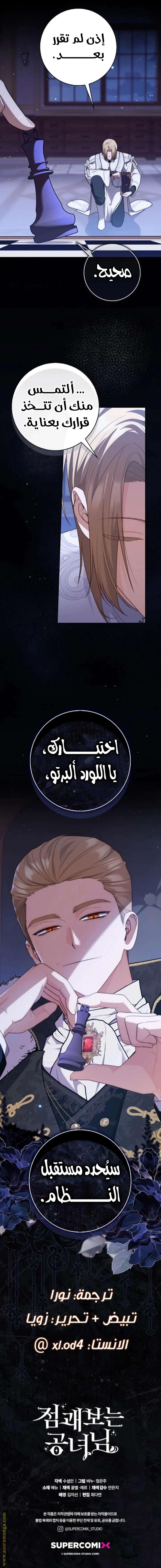 الصفحة 13