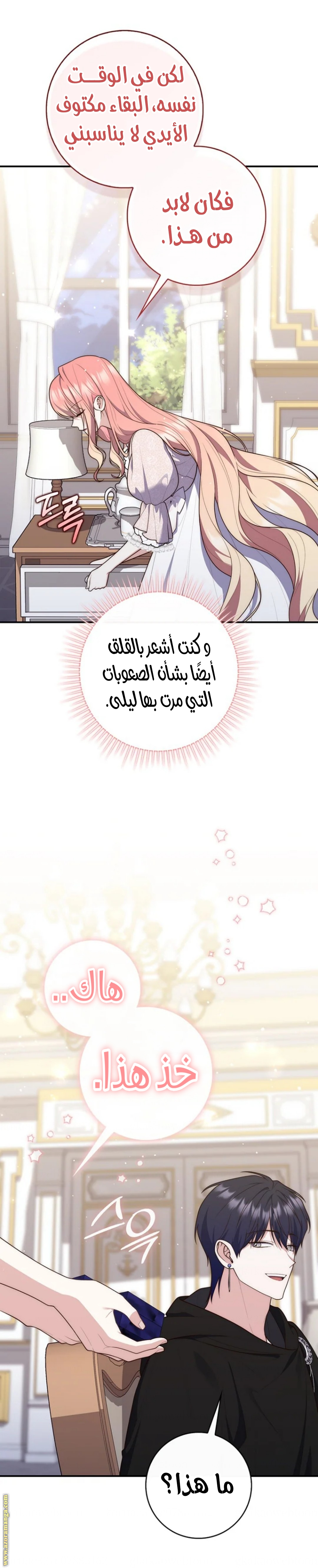الصفحة 2
