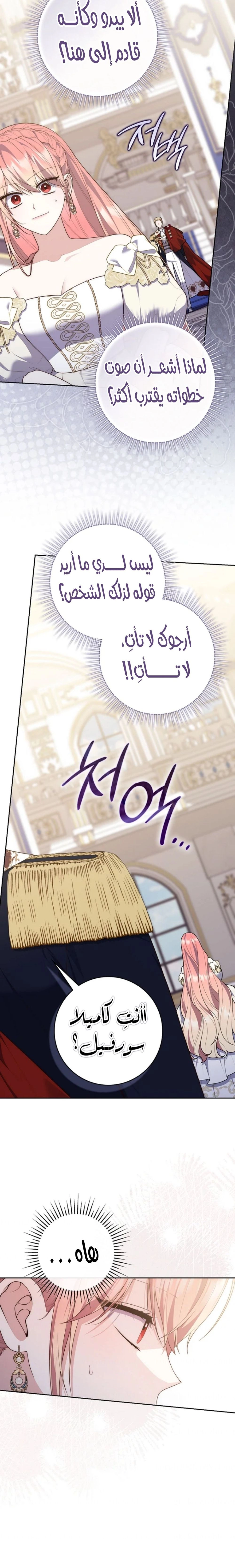 الصفحة 14