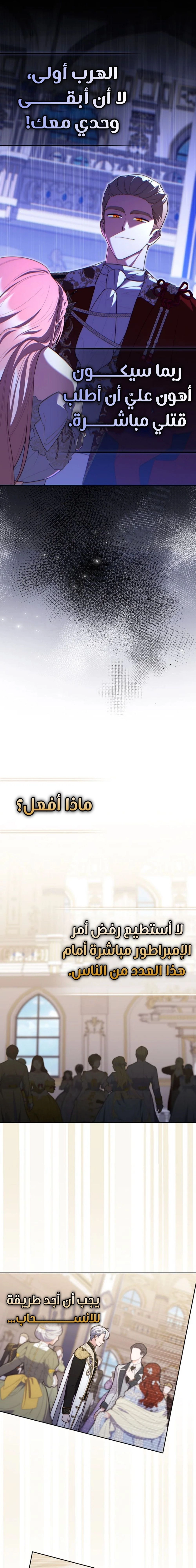 الصفحة 17