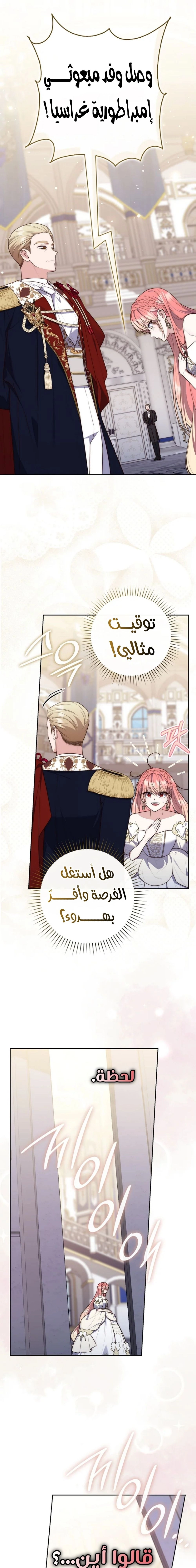 الصفحة 19