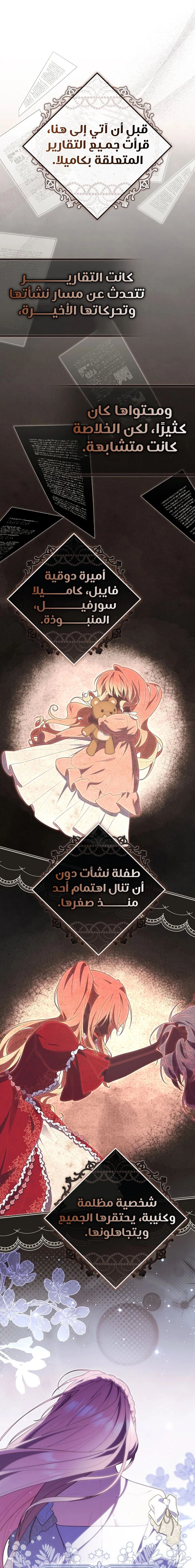 الصفحة 13