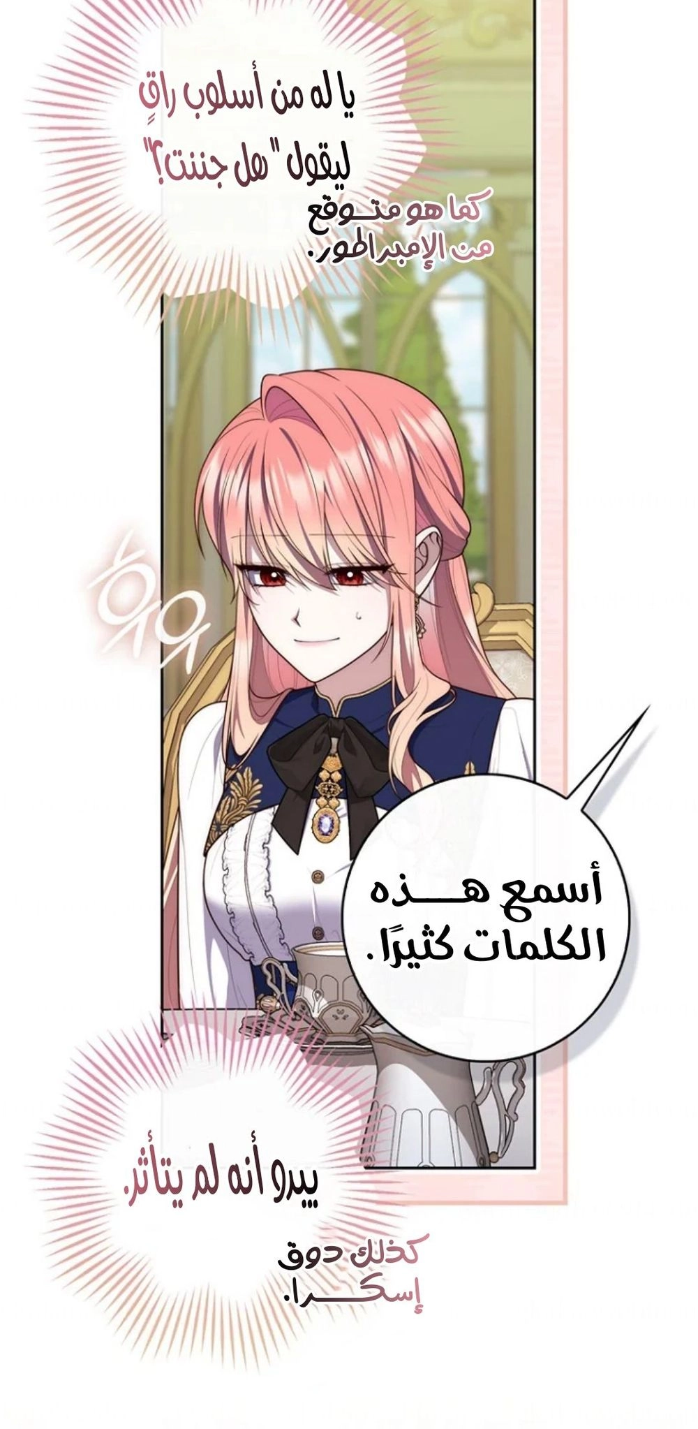 الصفحة 25