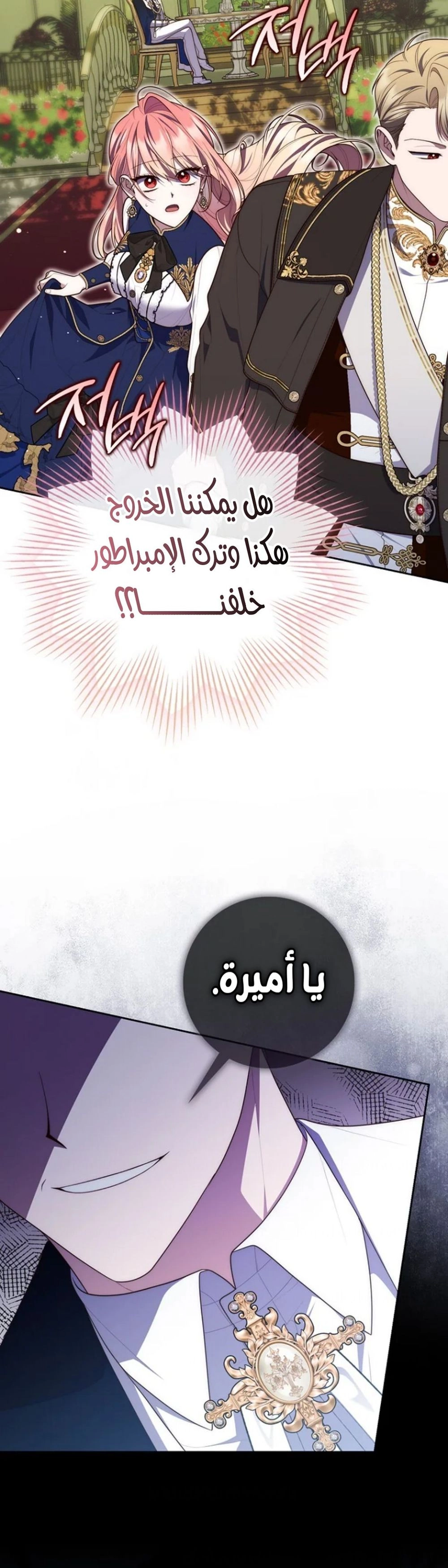 الصفحة 27
