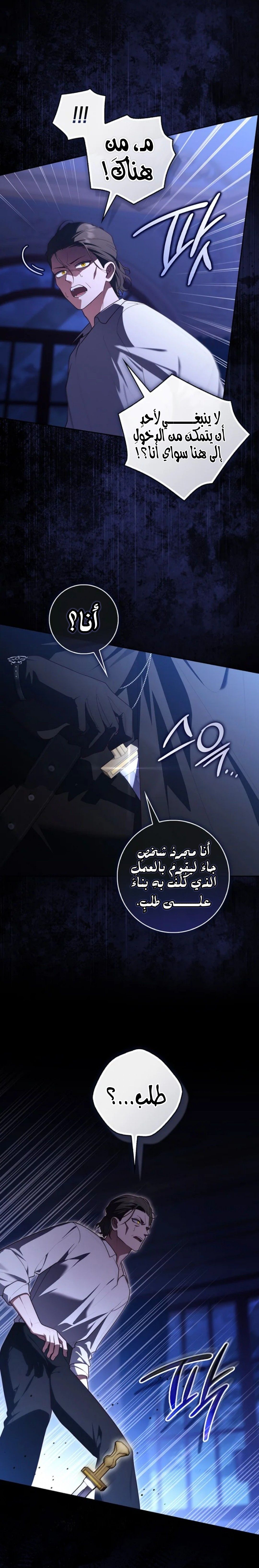 الصفحة 13