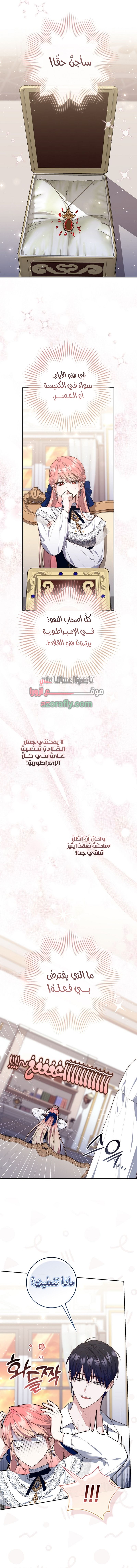 الصفحة 13