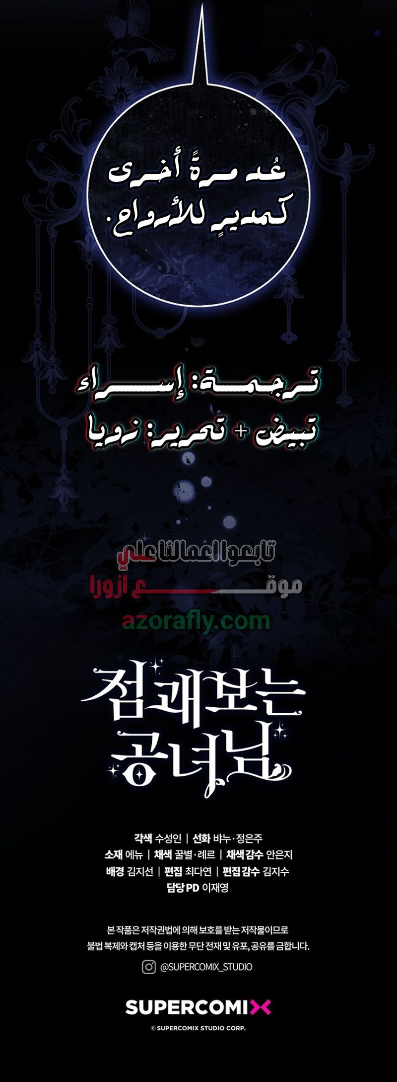 الصفحة 17