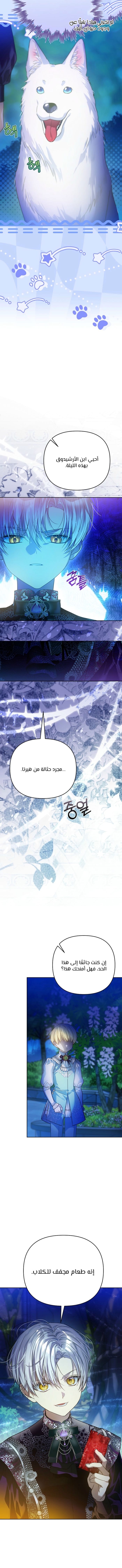 الصفحة 8