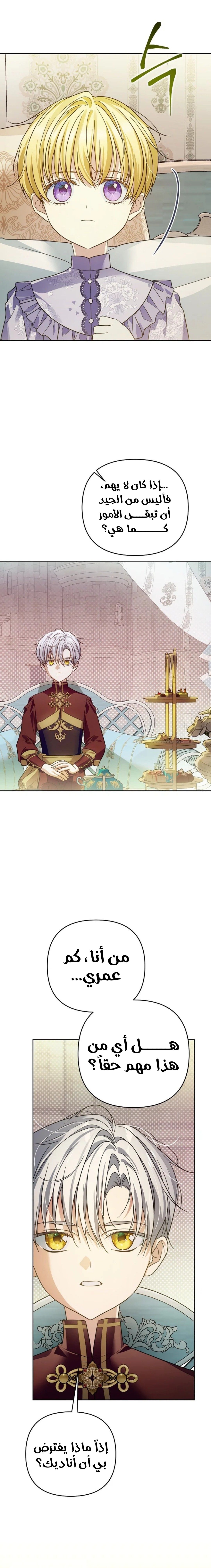 الصفحة 13