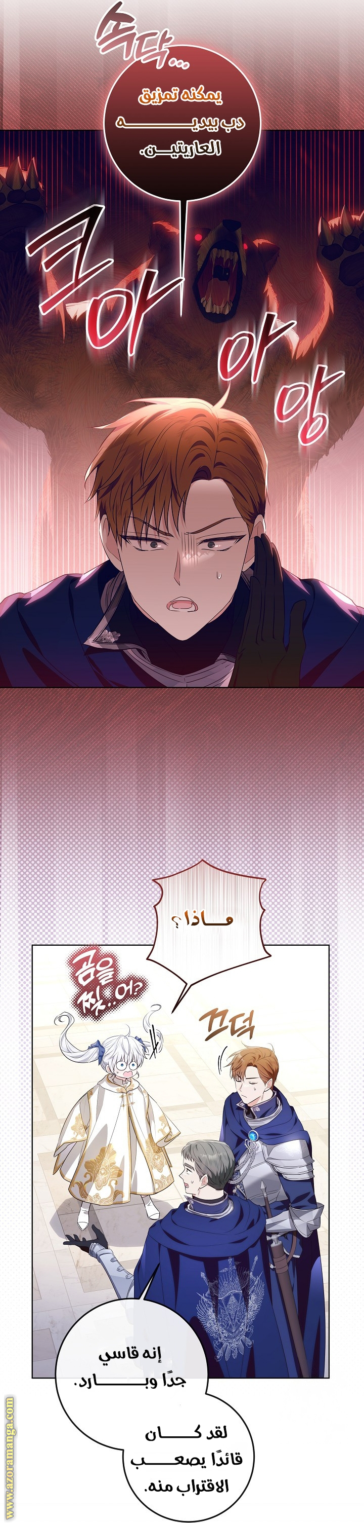 الصفحة 27