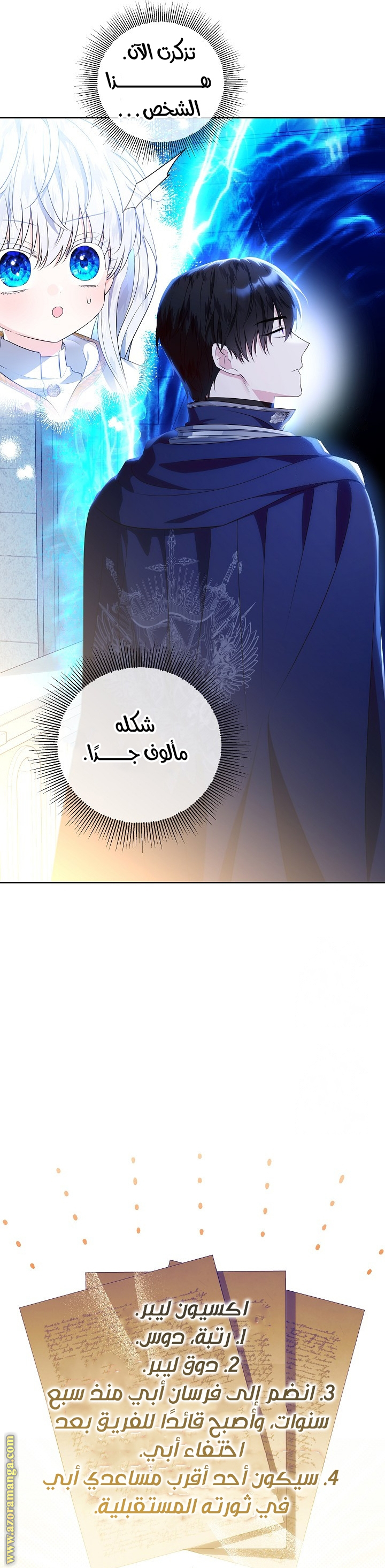الصفحة 29