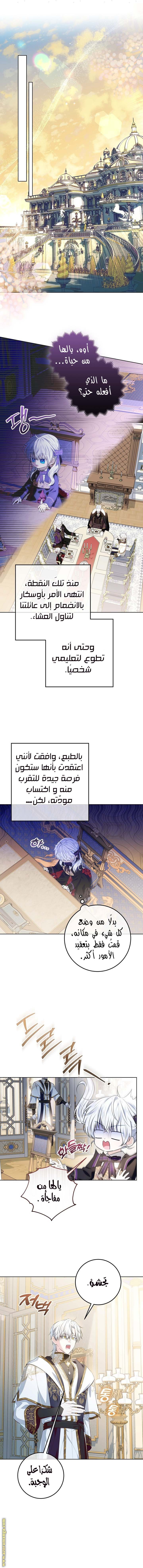 الصفحة 2