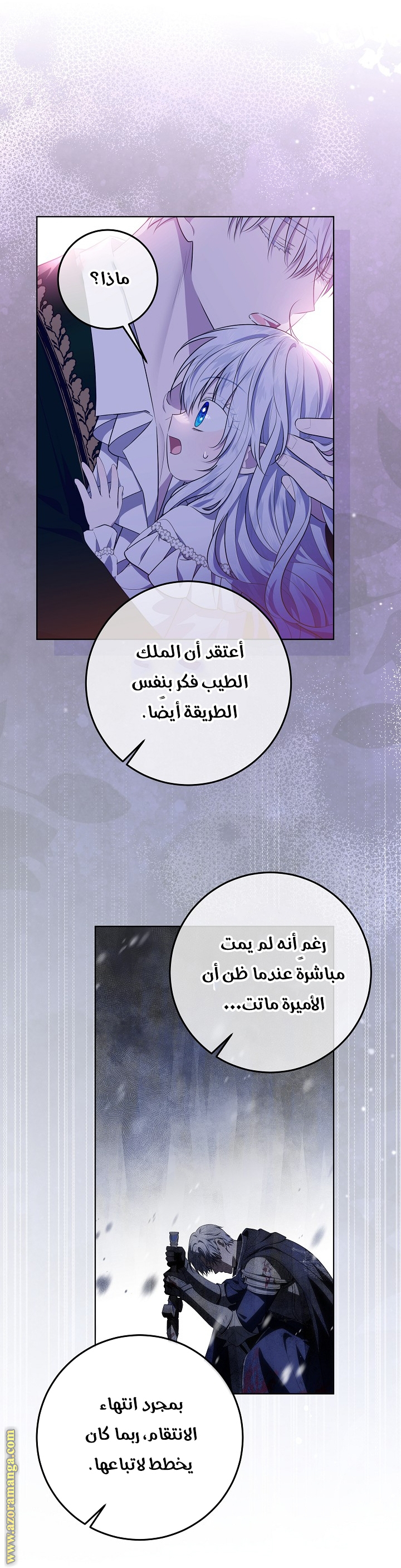 الصفحة 17