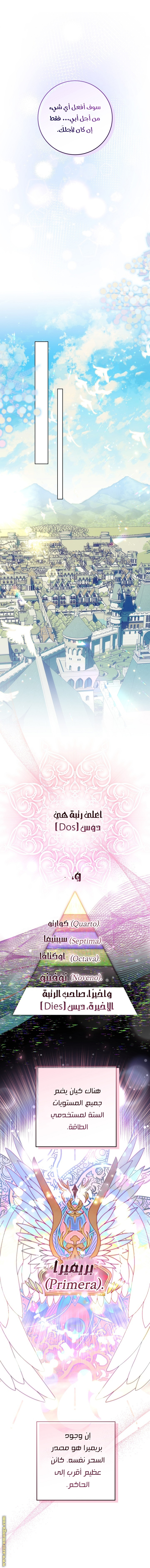 الصفحة 29
