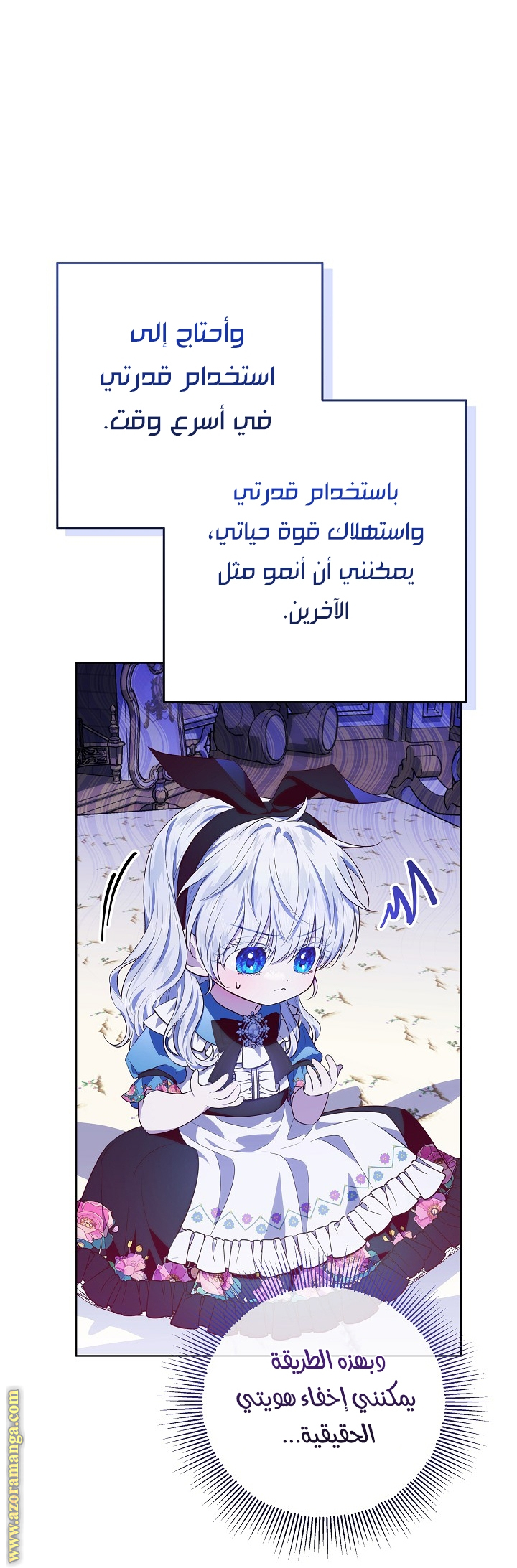 الصفحة 13