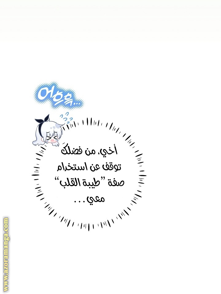 الصفحة 21