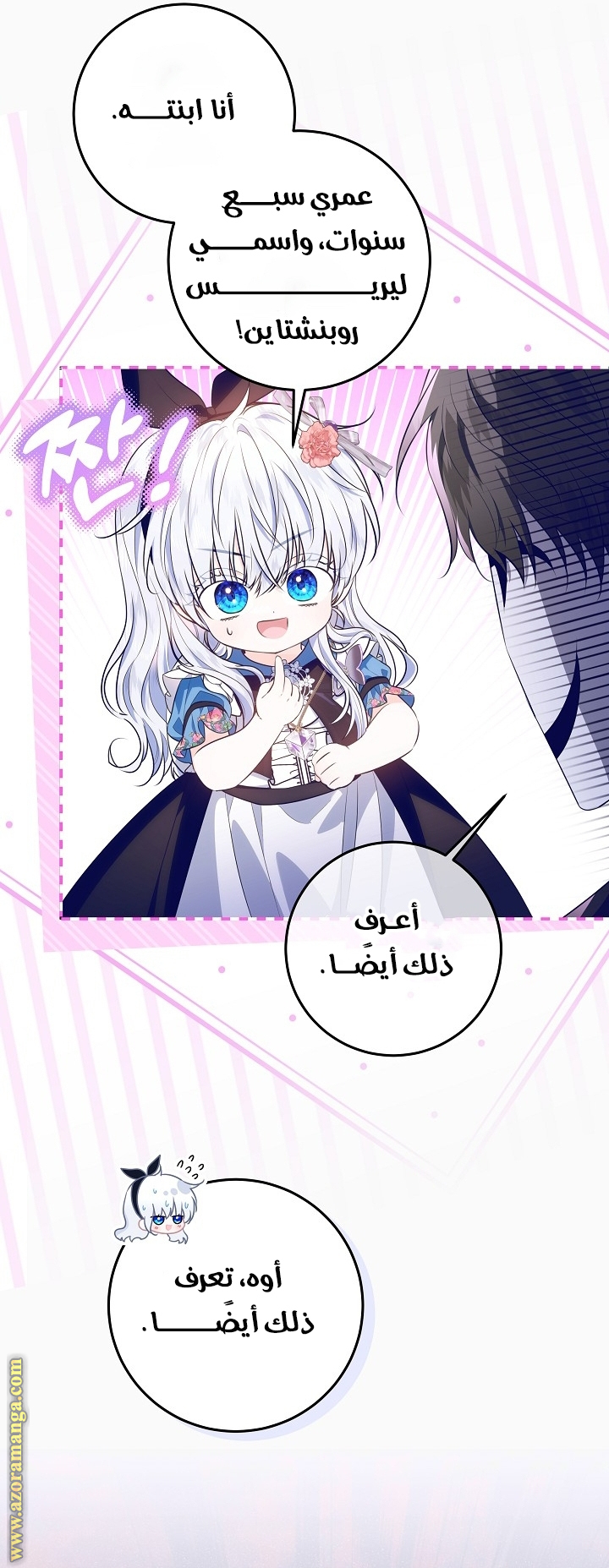 الصفحة 25