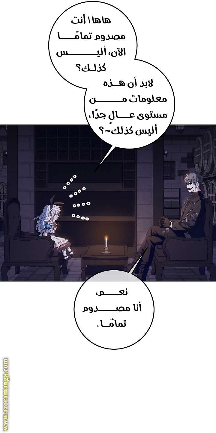 الصفحة 29